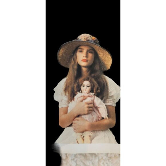 Hollywood : A Celebration by David Thomson (2001, Hardcover) Book - Picture 2 of 12